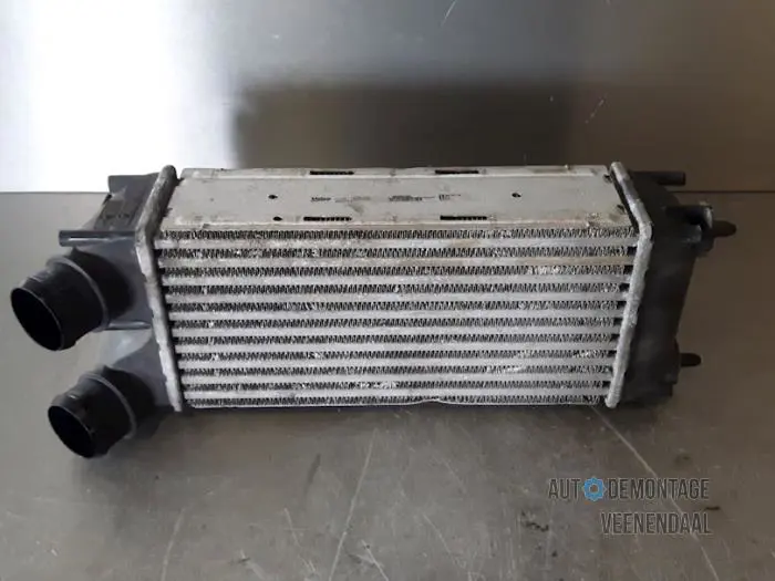 Intercooler Citroen C4