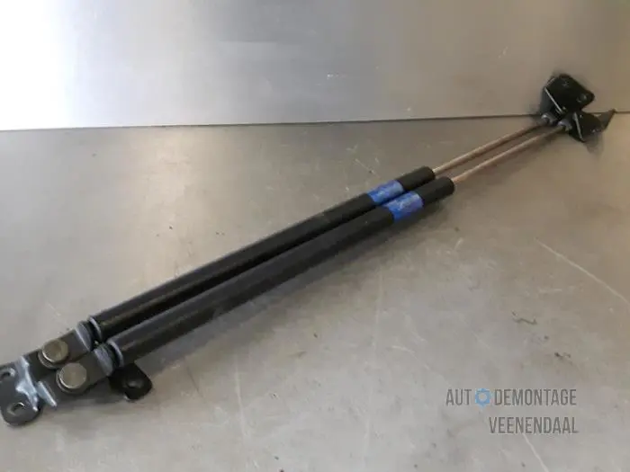 Set of tailgate gas struts Opel Agila