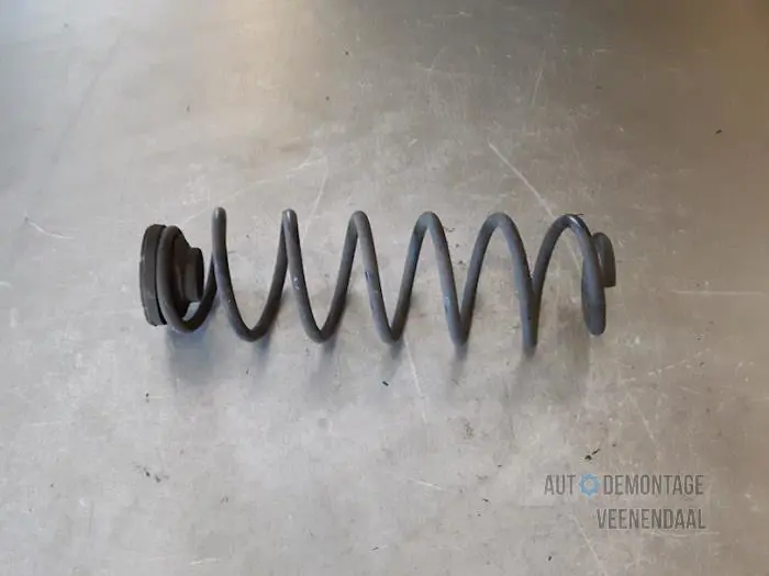 Rear torsion spring Volkswagen Polo