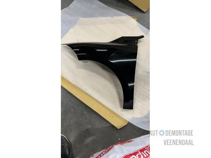 Scherm links-voor Renault Megane