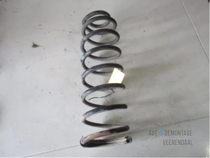 Rear torsion spring Citroen Jumpy