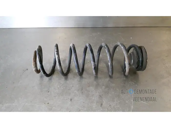 Rear torsion spring Volkswagen Polo